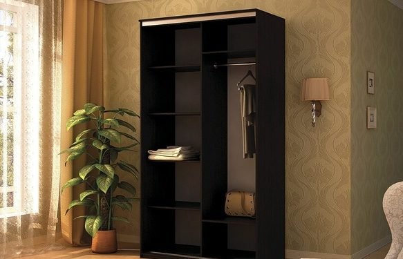 Мэри мебель Шкаф-купе 2-х дверный Де-Люкс №4